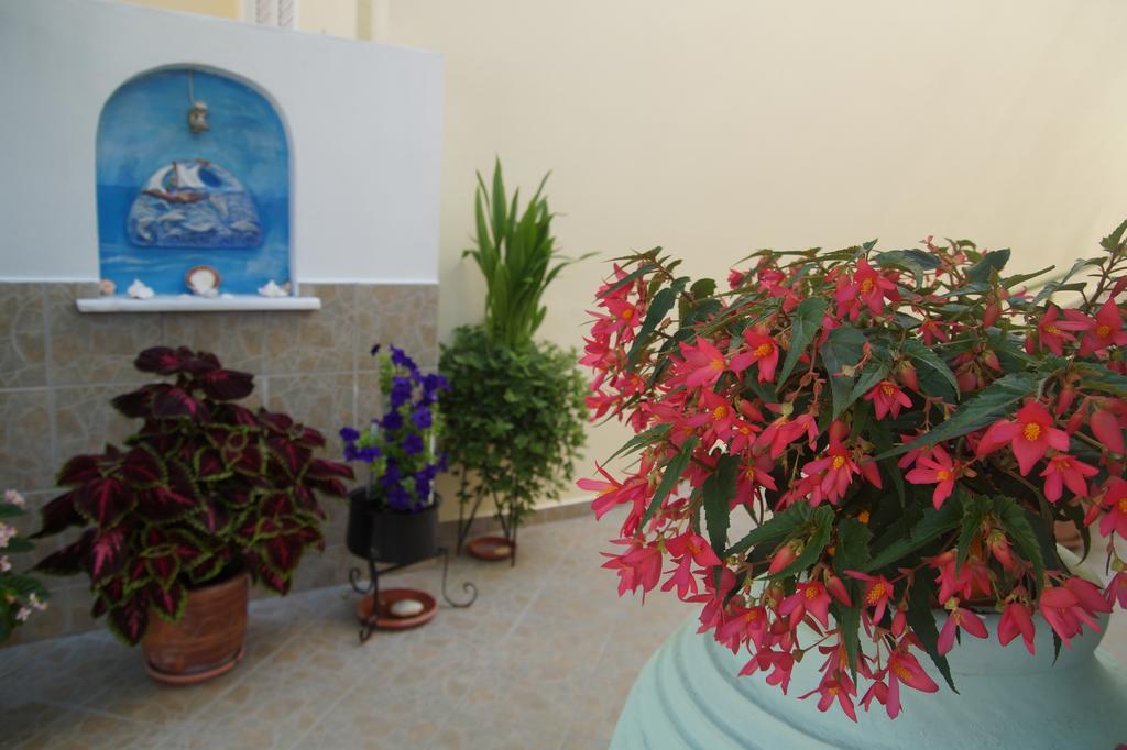 Maria & Kyros House Apartment ปาร์กา ภายนอก รูปภาพ